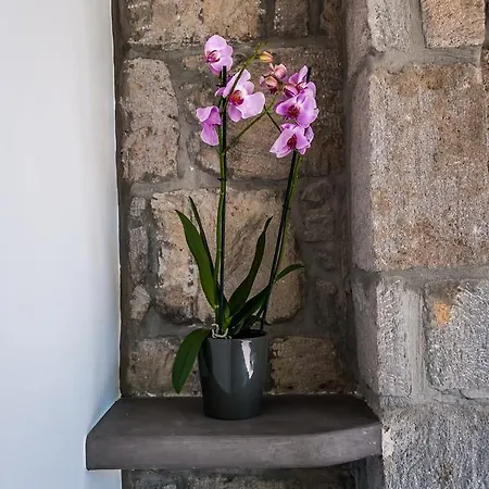 Melagrana