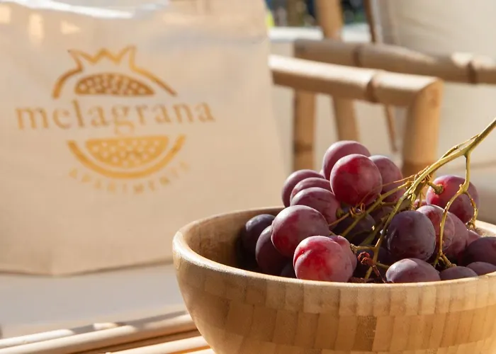 Melagrana アパートホテル アダマス