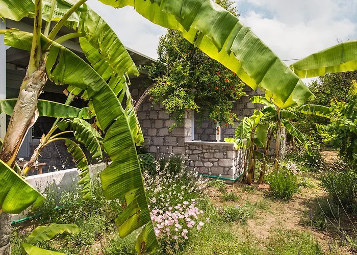 Melagrana アパートホテル アダマス