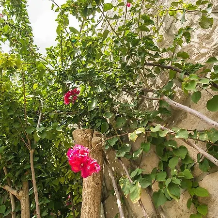 Aparthotel Melagrana 4*